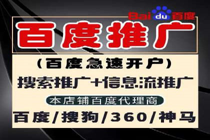 百度推广公司案例解析：如何通过百度推广实现品牌升级
